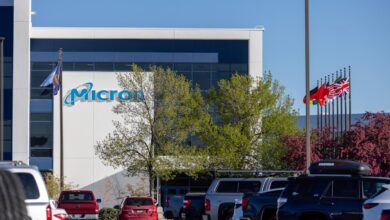 The hottest thing in the stock market is suddenly boring tech