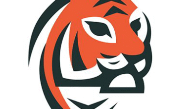 Strong AUM Growth and Strategic …