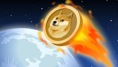 These 3 Tokens Are Best Meme Coins for Explosive Gains