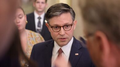 Speaker Johnson says China is straining U.S. relations with Nvidia chip ban