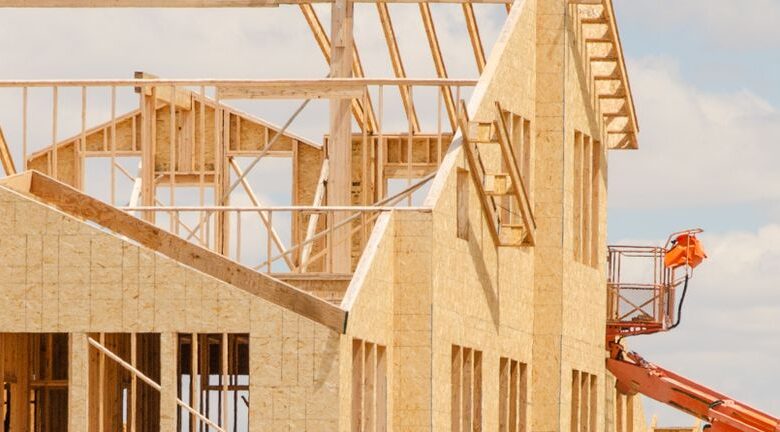 Why NissouLtd’s (TSE:1444) Earnings Are Weaker Than They Seem