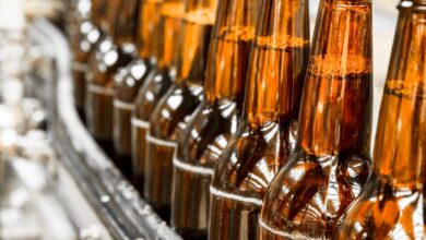 Will Climate-Resilient Hops Technology Shift Kirin Holdings Company’s (TSE:2503) Long-Term Sustainability Narrative