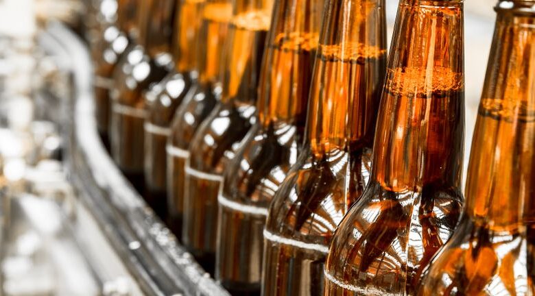 Will Climate-Resilient Hops Technology Shift Kirin Holdings Company’s (TSE:2503) Long-Term Sustainability Narrative