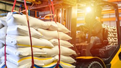 The one-year decline in earnings might be taking its toll on Hyundai G.F. Holdings (KRX:005440) shareholders as stock falls 8.7% over the past week