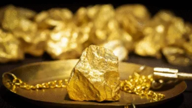 Gold holds steady as markets await more cues on Fed policy