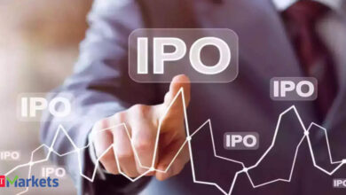 Rs 6,300 crore on offer! Investors brace for IPO storm with 25 new issues opening next week