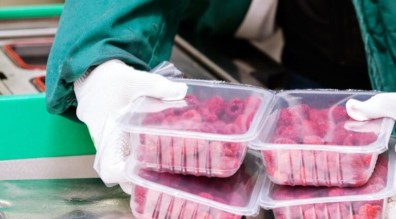 Global Corn Group First Half 2025 Earnings: HKalt=