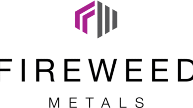 Fireweed Intersects 30 m True Width of 33.2% Zinc Equivalent in 115 m Step-Out at Tom South