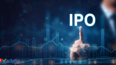 Behari Lal Engineering, CSM Technologies file draft papers with Sebi to launch IPOs