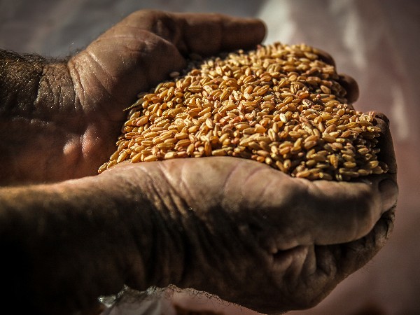 Five of the top ASX-listed commodity ETFs for investors