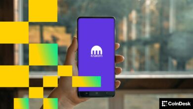 Kraken Raises 0M in Funding Round Valuing Crypto Exchange at B: Fortune