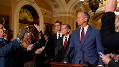 US Senate approves 48 Trump nominees in a single vote | Politics News