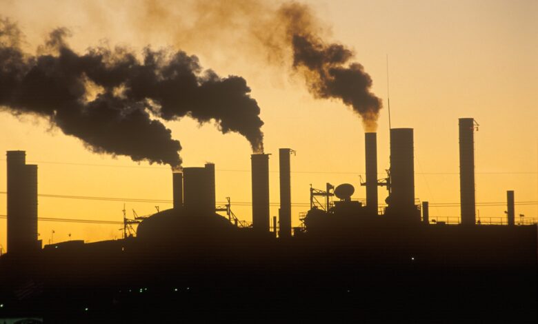 Fighting for our shared future: Evalyn Gates