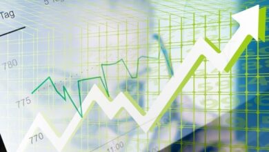 Vaibhav Global shares rise 9% on high volumes, trim 2025 losses