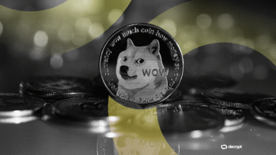 Dogecoin ETF Sees Strong Debut, But Rex-Osprey Is Already Plotting a Riskier DOJE Fund