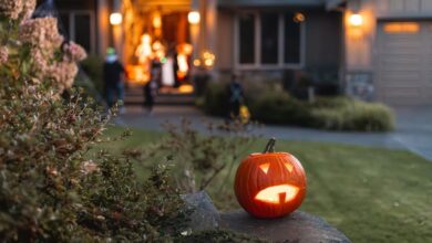 Trick-Or-Treating Is Becoming A Luxury For Households. Halloween Candy Bags Are So Expensive, Many Don’t Want To Hand Them Out Anymore – Costco Wholesale (NASDAQ:COST)