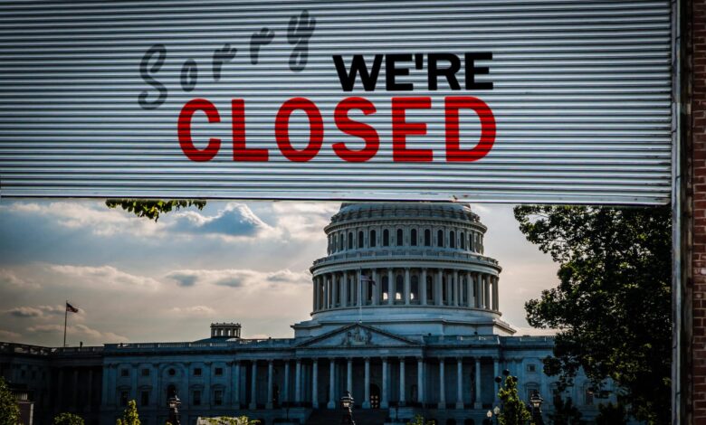 Seeds Don’t Wait for Politics Seeds Don’t Wait for Politics