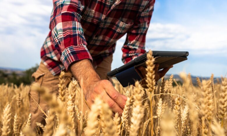 US wheat futures slip after USDA boosts global ending stocks