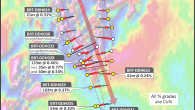 Fitzroy Minerals Provides Exploration Update at Buen Retiro and Caballos Copper Projects, Chile