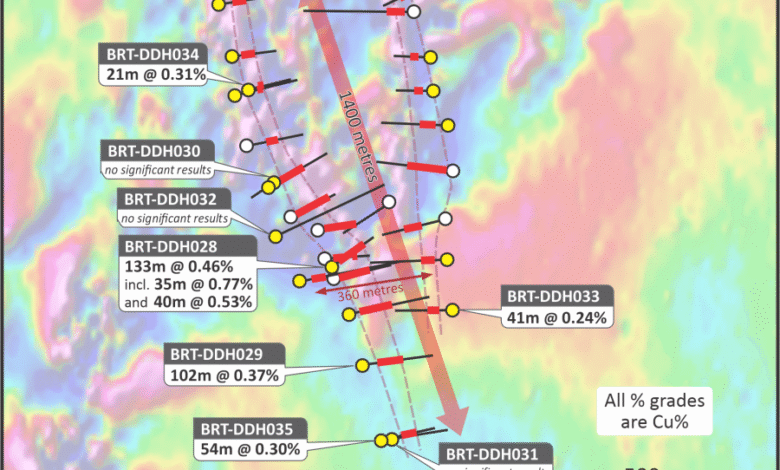 Fitzroy Minerals Provides Exploration Update at Buen Retiro and Caballos Copper Projects, Chile