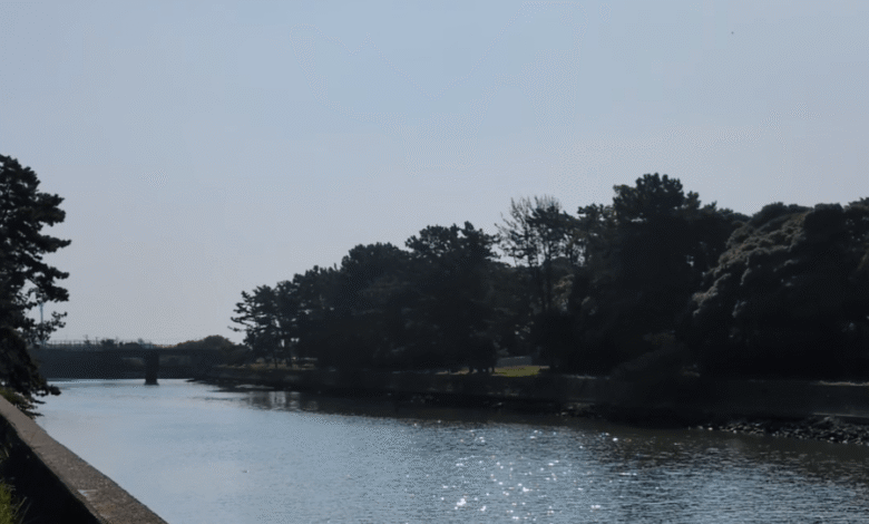 Hamamatsu on the Horizon: Hi-tech Factories, Flying Cars, and Futures in the Making Hamamatsu on the Horizon: Hi-tech Factories, Flying Cars, and Futures in the Making