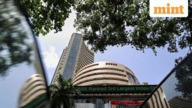48 stocks hit 52-week lows, 170 stocks at 52-week high as Nifty 50, Sensex end higher led by pharma, IT stocks