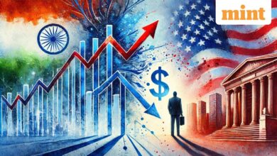 Why are FPIs selling shares and buying IPOs in the Indian stock market? EXPLAINED