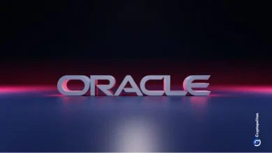 Trump-allied Oracle taps bond market for  billion in investment-grade debt
