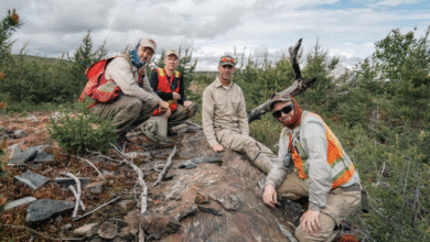 Power Metallic leaps on more land within Lion Zone