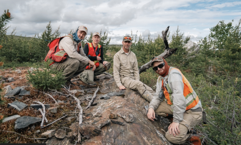 Power Metallic leaps on more land within Lion Zone