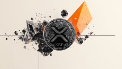CME Group plans to roll out XRP and Solana futures options in October