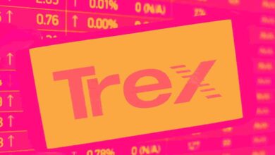 Trex, Rocket Lab, Boise Cascade, ArcBest, and Carrier Global Stocks Trade Down, What You Need To Know
