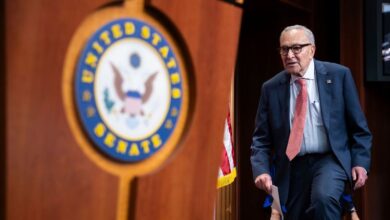 ‘It’s a new world with Trump’: Inside Democrats’ shutdown gamble