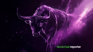 Which Is Tipped As The Best Crypto To Buy Now For The Maximum Returns: HBAR, Chainlink Or Remittix