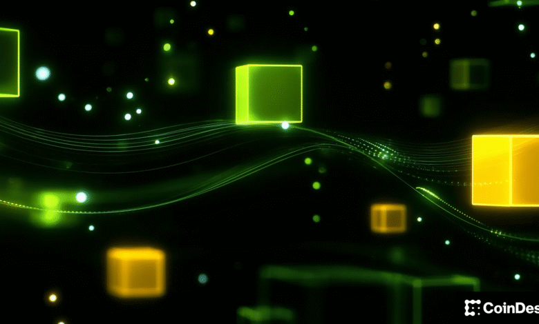 Arca CIO Says Crypto Isn’t in a Bull Market and Explains Why Some Tokens Outperformed