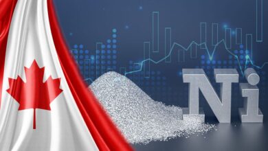 Top 5 Canadian Nickel Stocks of 2025
