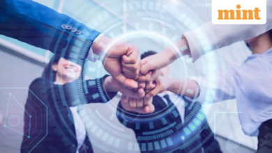 Musk says xAI is not raising capital after CNBC report on  billion funding