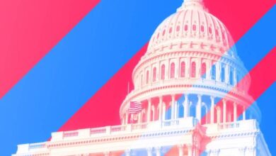 How Goal Psychology Helps Explain American Politics Today