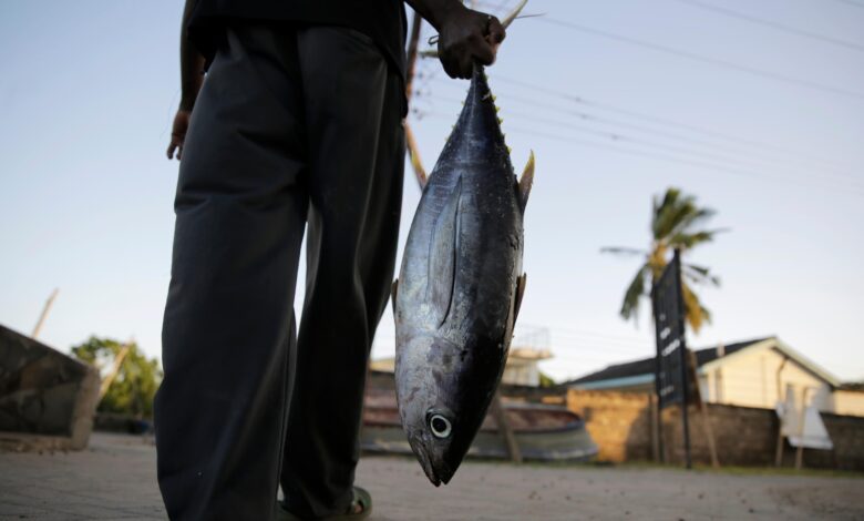 Long-wrought WTO global agreement aimed at reducing overfishing takes effect