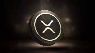 XRP ETF Fate Hangs in Balance as SEC Sets Review Dates for October