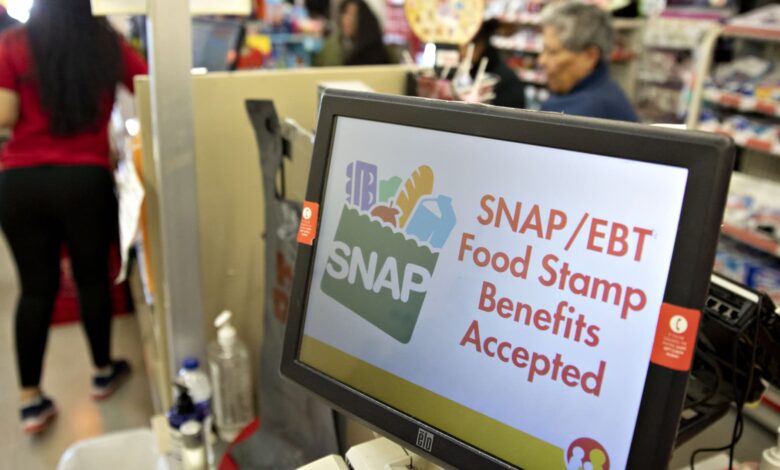 States sue over SNAP food stamps funds cutoff