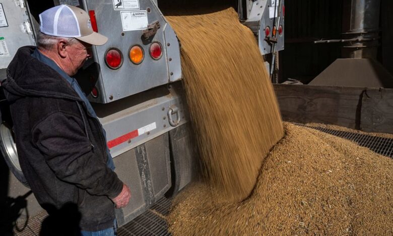 Trump threatens China with cooking oil embargo over soybean snub