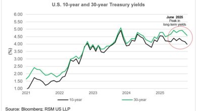 Falling bond yields and economic imbalances