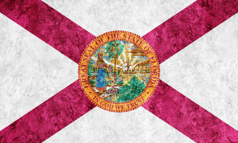 Florida renews effort to create state crypto reserve Florida renews effort to create state crypto reserve