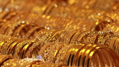 Gorilla Gold Mines Ltd (ASX:GG8) surges 11%; retail investors who own 42% shares profited along with insiders