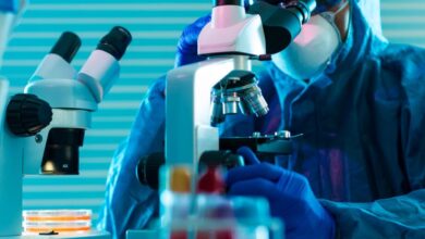 Does ILMN’s BioInsight Launch Signal a New Chapter in Data-Driven Drug Discovery Strategy?