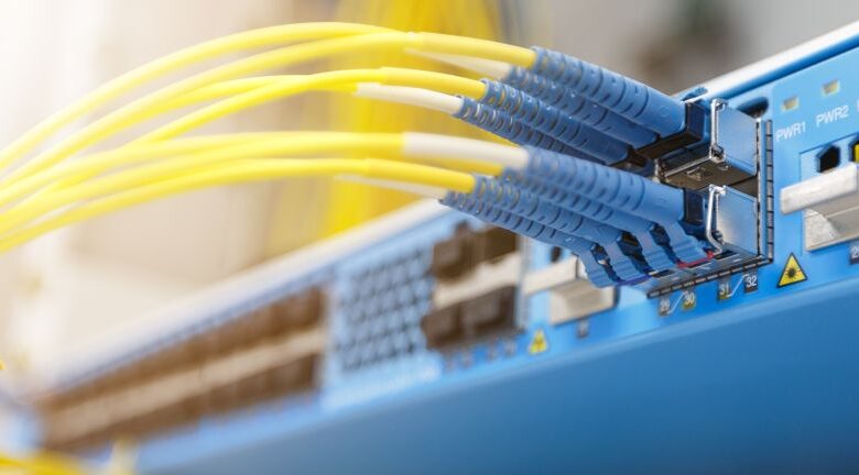 Dividend Hike and Earnings Guidance Could Be a Game Changer for U-NEXT HOLDINGS (TSE:9418)