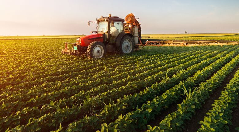 Market Cool On Green Rise Foods Inc.’s (CVE:GRF) Revenues Pushing Shares 31% Lower