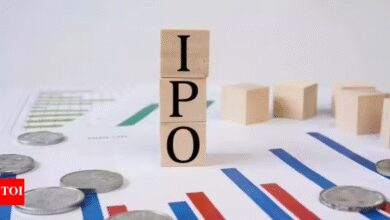 IPO market gears up: Rs 28,500 crore fundraising next week; Tata Capital, LG Electronics build anticipation