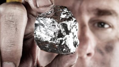 Hecla Mining (HL): Evaluating Valuation Following Roth MKM Downgrade and Recent Insider Selling